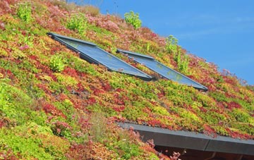 Lower Tadmarton living roof systems
